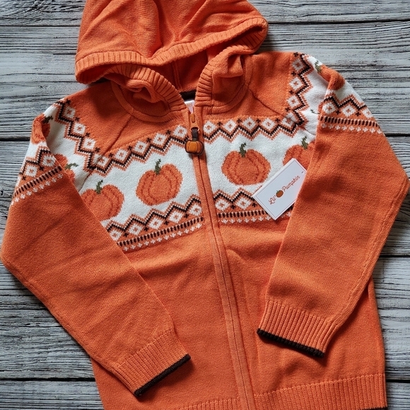 Gymboree Orange Pumpkin Sweater Lil's Pumpkin Collection Hooded Zip Up Sweater - Picture 7 of 14